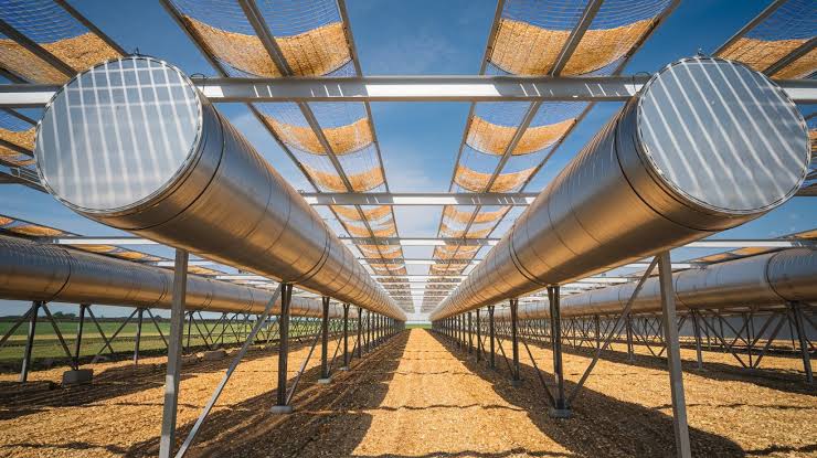 Drying Maize with Solar